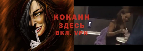 твердый Каменск-Шахтинский