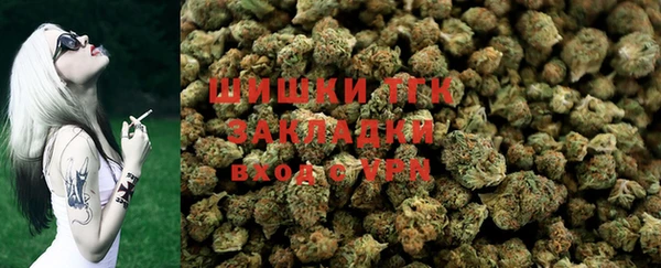 твердый Каменск-Шахтинский