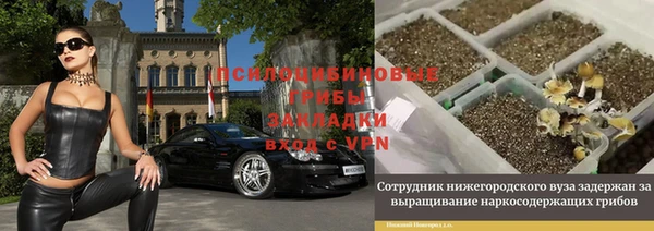 твердый Каменск-Шахтинский