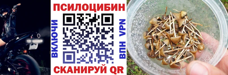 Псилоцибиновые грибы прущие грибы  Купить  Кохма 